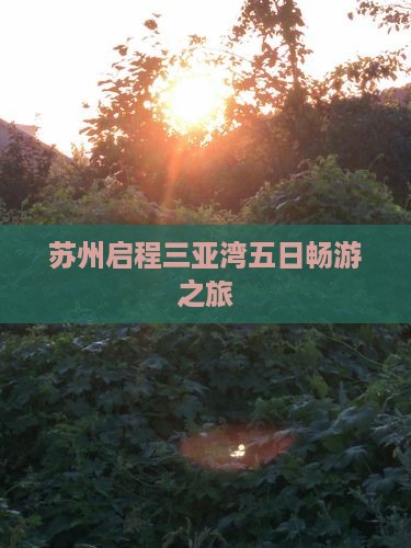 苏州启程三亚湾五日畅游之旅