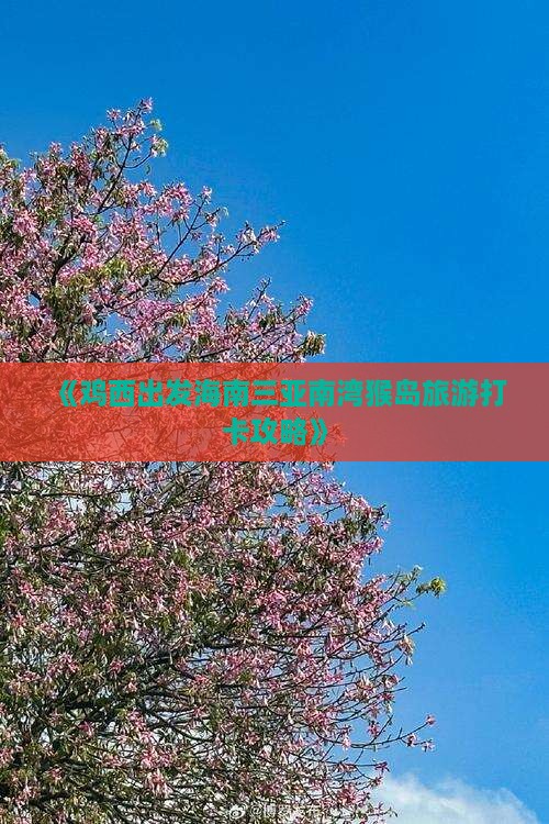 《鸡西出发海南三亚南湾猴岛旅游打卡攻略》