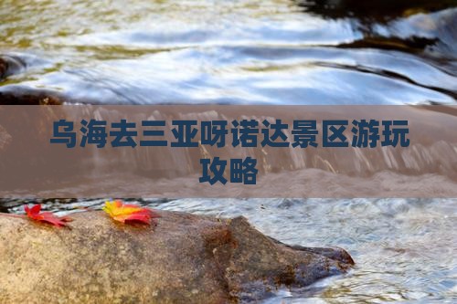 乌海去三亚呀诺达景区游玩攻略