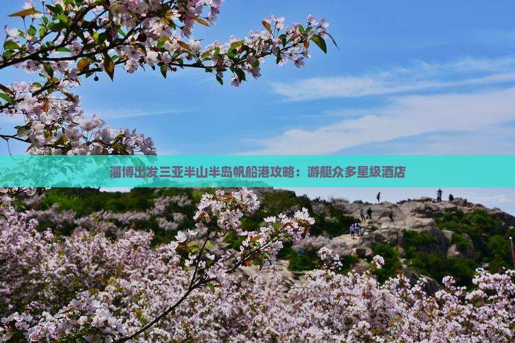 淄博出发三亚半山半岛帆船港攻略:游艇众多星级酒店 淄博出发三亚半山半岛帆船港攻略:游艇众多星级酒店