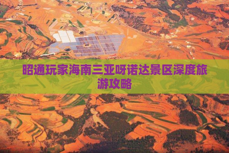 昭通玩家海南三亚呀诺达景区深度旅游攻略
