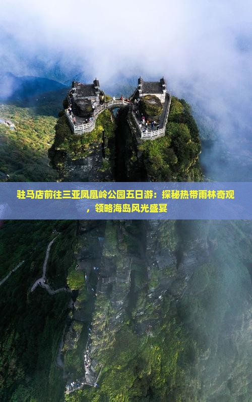 驻马店前往三亚凤凰岭公园五日游：探秘热带雨林奇观，领略海岛风光盛宴