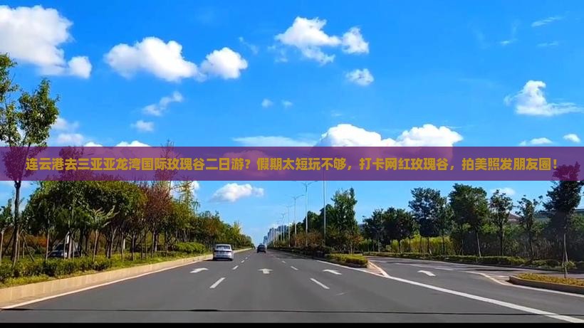 连云港去三亚亚龙湾国际玫瑰谷二日游 连云港去三亚亚龙湾国际玫瑰谷二日游