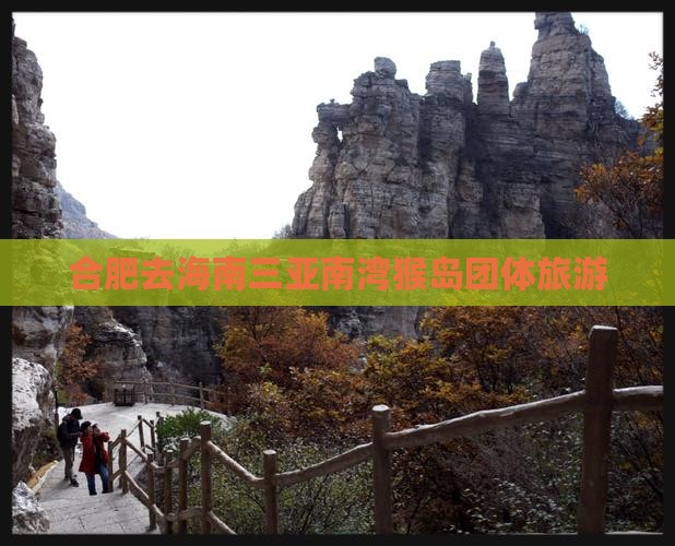 合肥去三亚南湾猴岛团体旅游