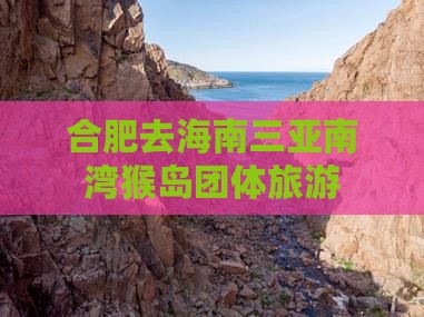 合肥去三亚南湾猴岛团体旅游