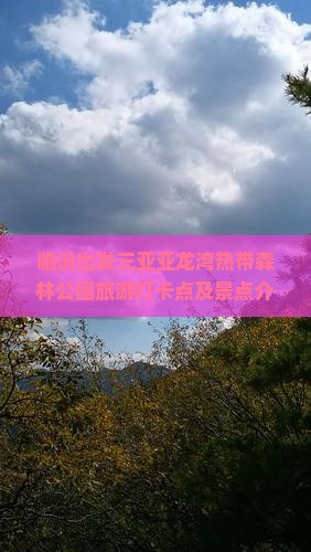 临汾出发三亚亚龙湾热带森林公园旅游打卡点 临汾出发三亚亚龙湾热带森林公园旅游打卡点