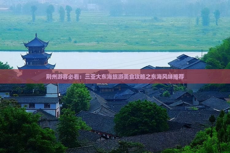 荆州前往三亚大东海旅游小吃