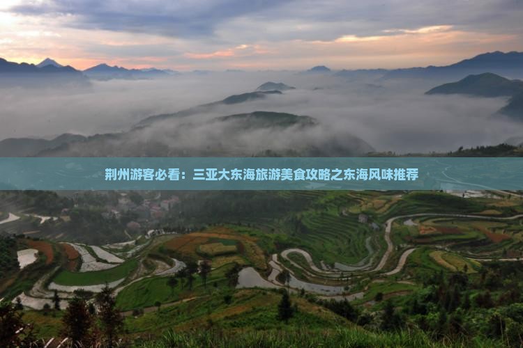 荆州前往三亚大东海旅游小吃
