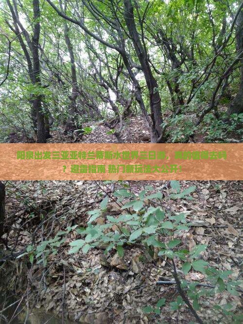 阳泉出发三亚亚特兰蒂斯水世界三日游