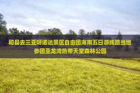 和县去三亚呀诺达景区自由团