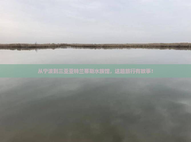 宁波前往三亚亚特兰蒂斯水族馆旅行社