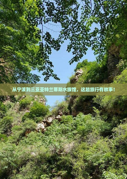 宁波前往三亚亚特兰蒂斯水族馆旅行社