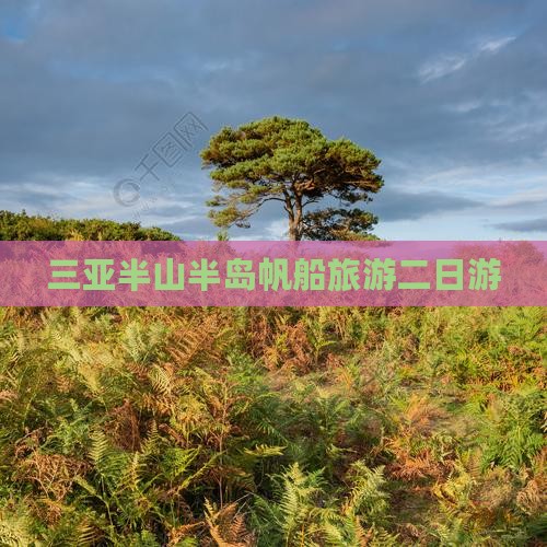 吴忠去三亚半山半岛帆船港二日游