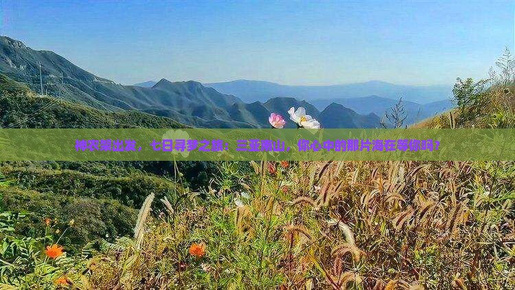 神农架出发三亚南山文化旅游区七日游