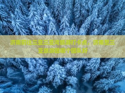 济南前往三亚三亚湾旅游打卡点 济南前往三亚三亚湾旅游打卡点