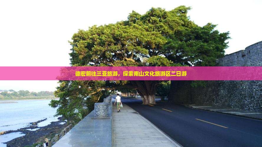 德宏前往三亚南山文化旅游区二日游