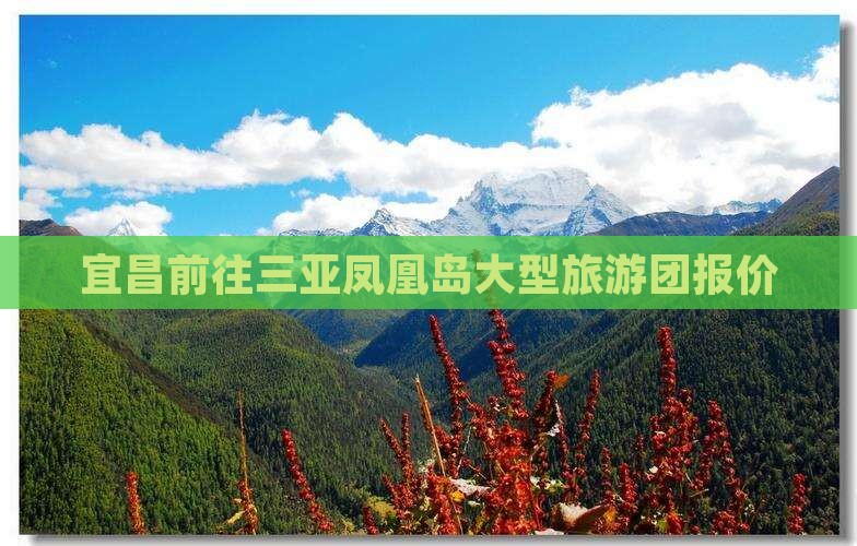 宜昌前往三亚凤凰岛大型旅游团
