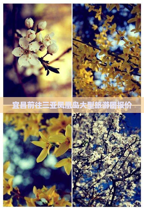 宜昌前往三亚凤凰岛大型旅游团
