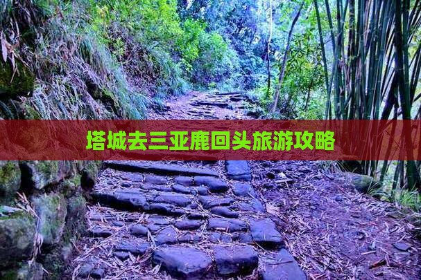塔城去三亚鹿回头旅游 塔城去三亚鹿回头旅游