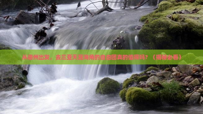德州前往三亚天涯海角自由团