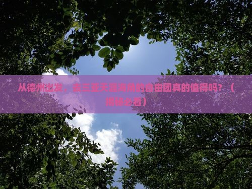 德州前往三亚天涯海角自由团
