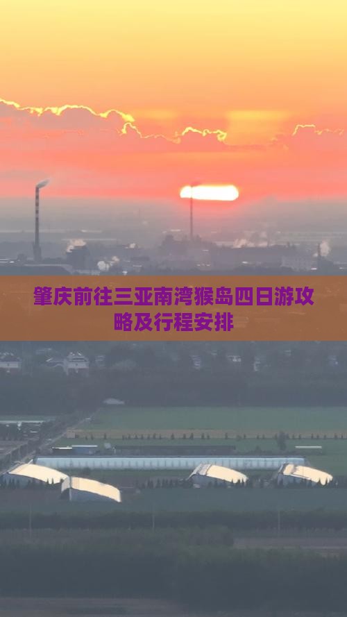 肇庆前往三亚南湾猴岛四日游