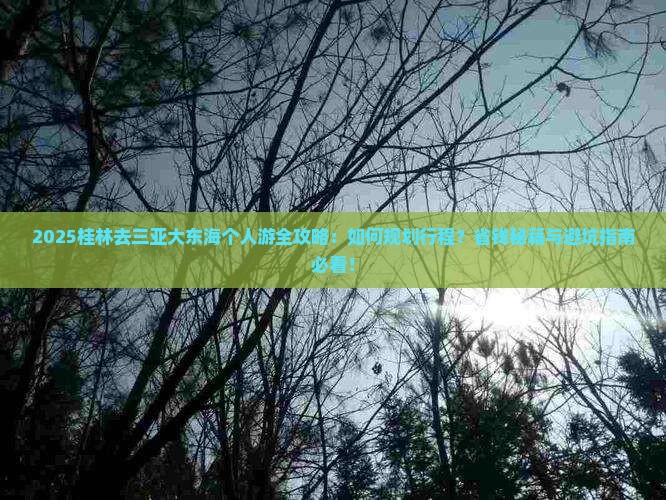 桂林去三亚大东海个人游