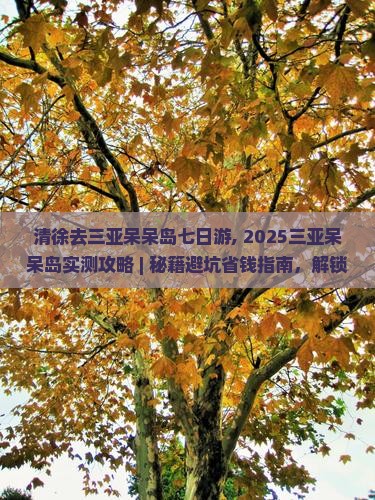清徐去三亚呆呆岛七日游