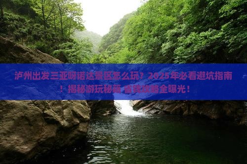 泸州出发三亚呀诺达景区哪里玩