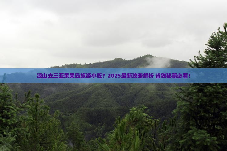 凉山去三亚呆呆岛旅游小吃