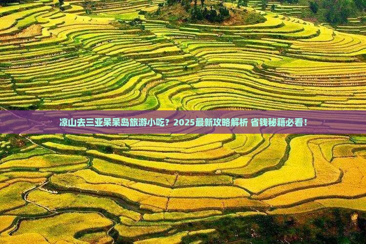 凉山去三亚呆呆岛旅游小吃