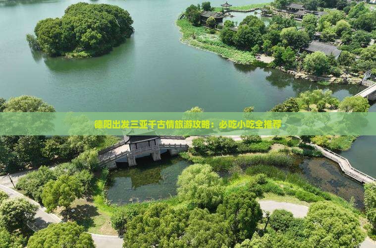 德阳出发三亚千古情旅游小吃