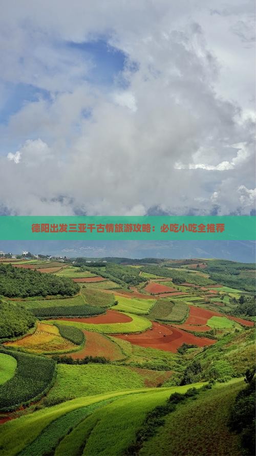 德阳出发三亚千古情旅游小吃