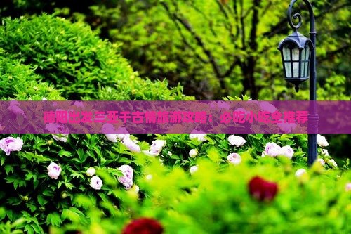 德阳出发三亚千古情旅游小吃