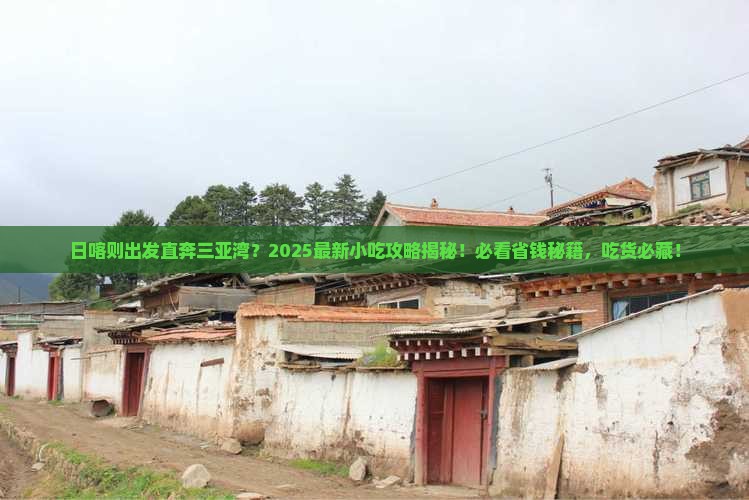 日喀则出发三亚三亚湾旅游小吃