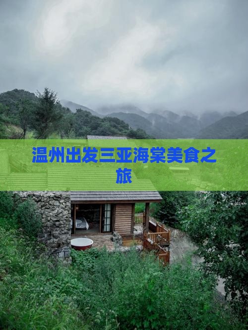 温州出发三亚海棠湾旅游小吃