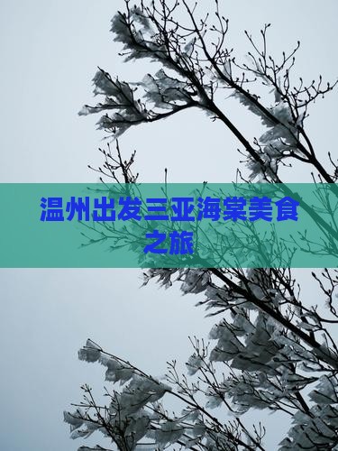 温州出发三亚海棠湾旅游小吃