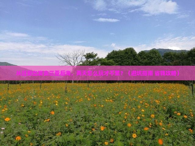 迁安出发三亚后海二日游