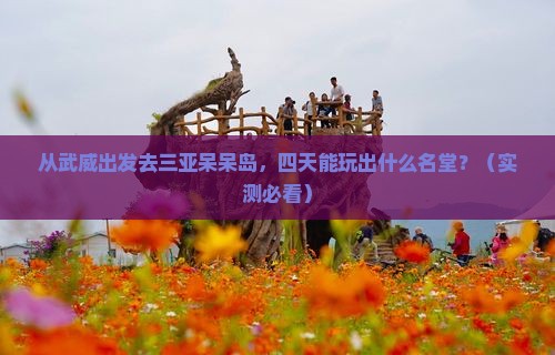 武威出发三亚呆呆岛四日游
