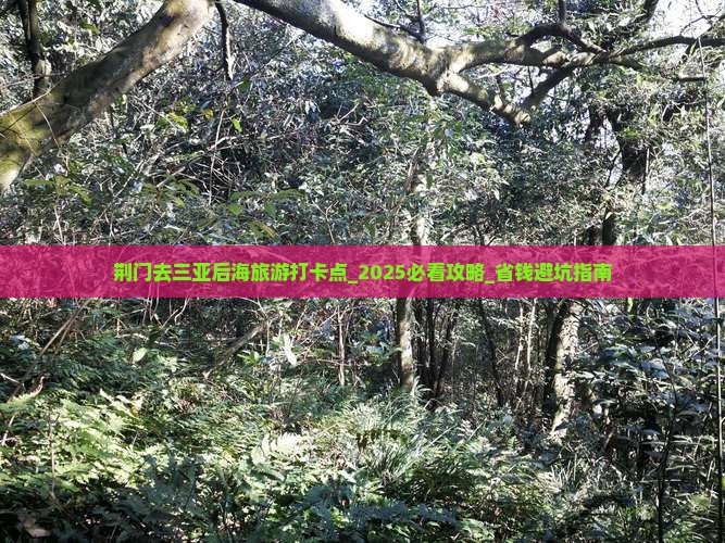 荆门去三亚后海旅游打卡点