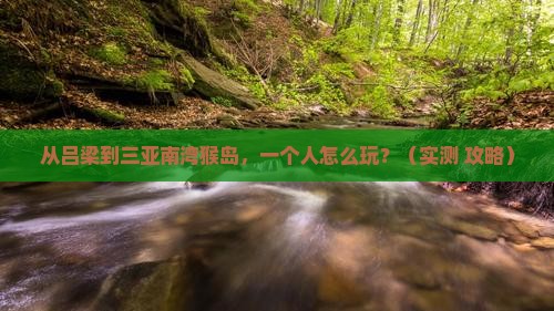 吕梁去三亚南湾猴岛个人游