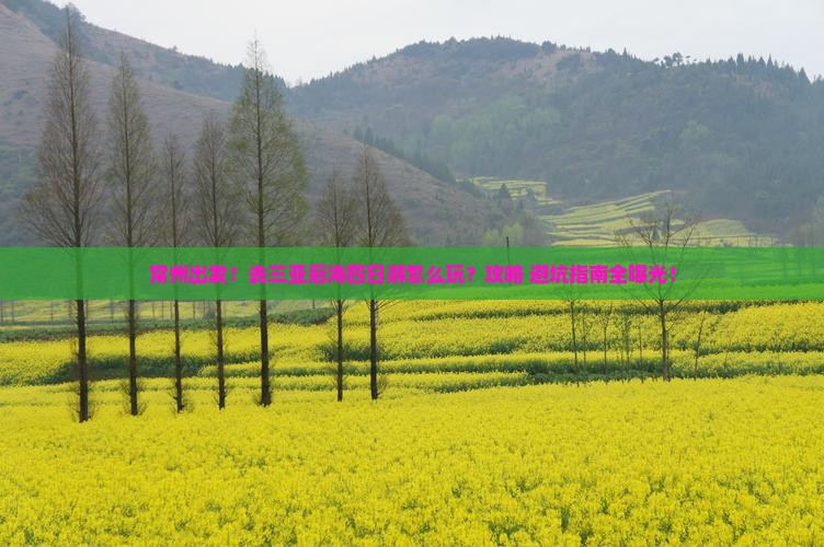 常州去三亚后海四日游