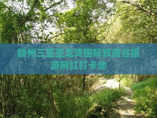 赣州前往三亚亚龙湾国际玫瑰谷旅游网红地点