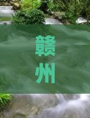 赣州前往三亚亚龙湾国际玫瑰谷旅游网红地点