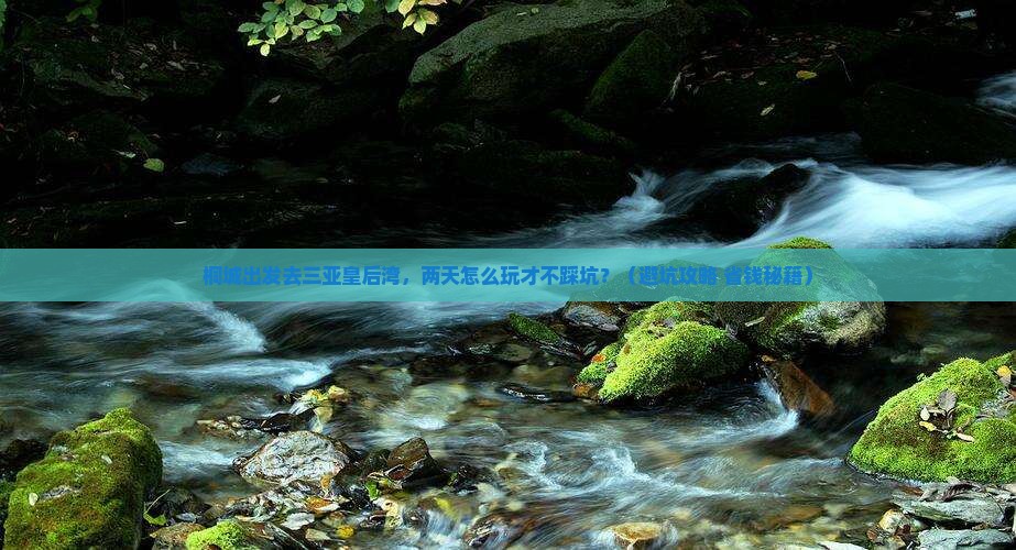桐城出发三亚皇后湾二日游