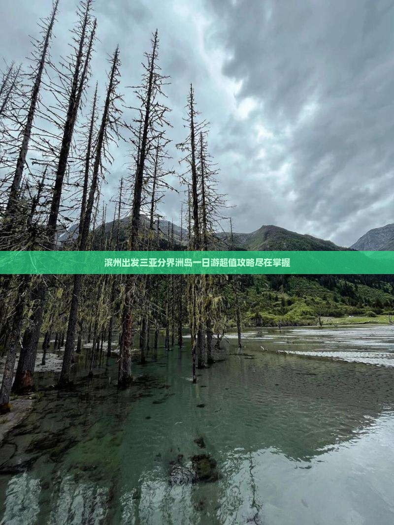 滨州出发三亚分界洲岛一日游