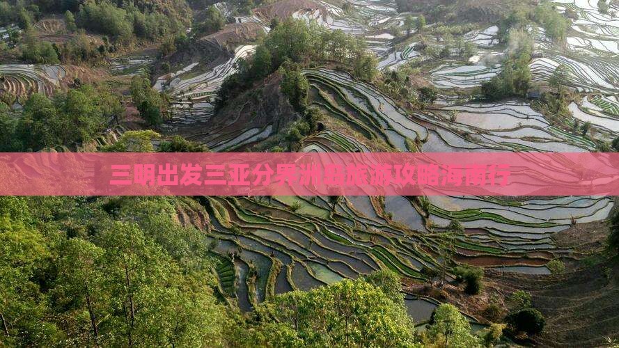 三明出发三亚分界洲岛旅游