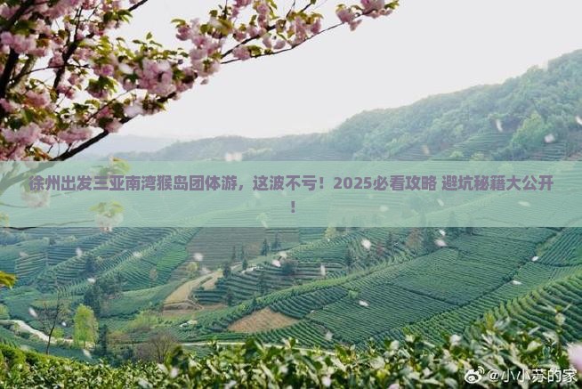 徐州出发三亚南湾猴岛团体旅游