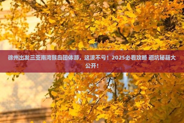 徐州出发三亚南湾猴岛团体旅游