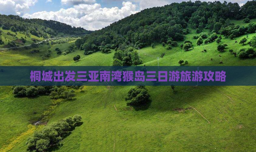 桐城出发三亚南湾猴岛三日游